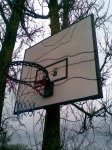 Krep�inio lenta